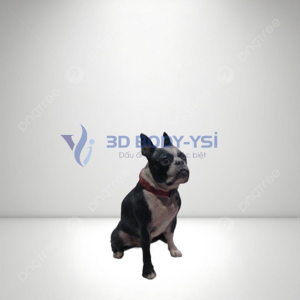 Tượng 3D Thú cưng YSI37